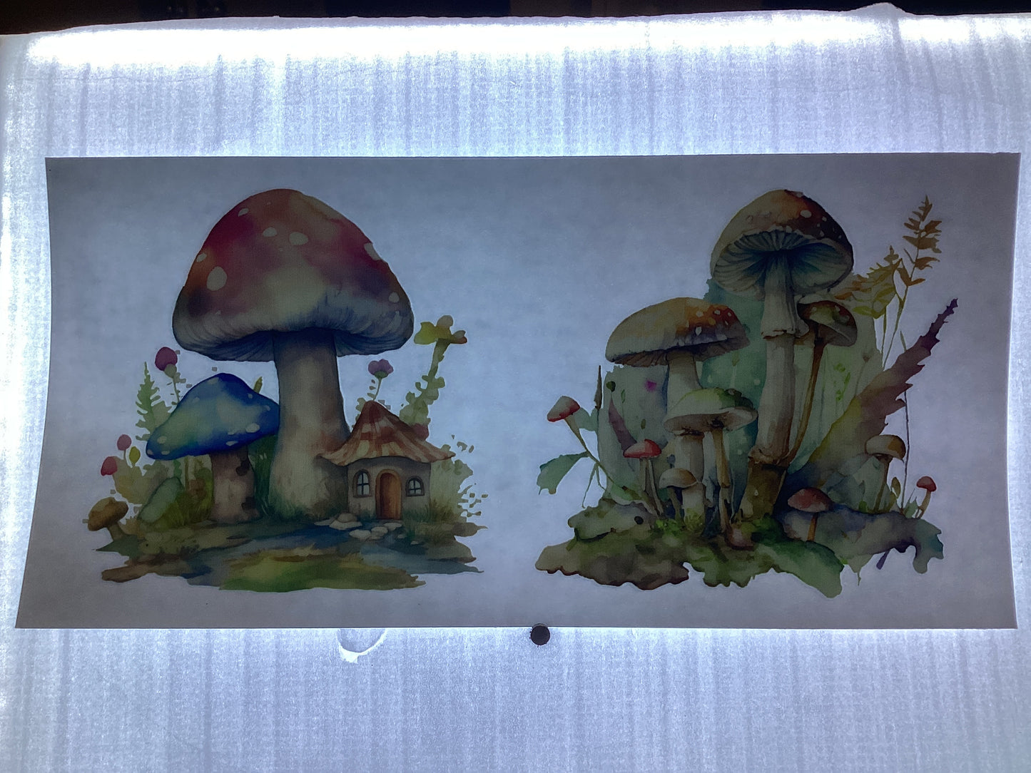 # 667