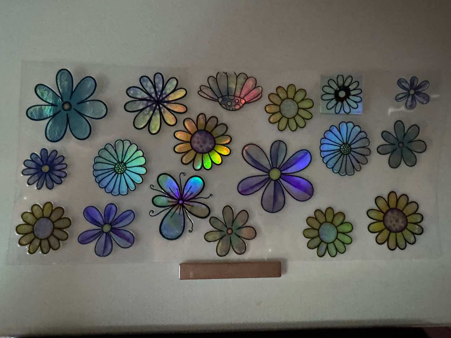 # 2538 Holographic
